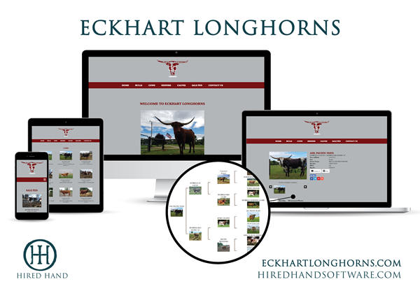 Eckhart_WebsiteLaunch-01 Eckhart_WebsiteLaunch-01