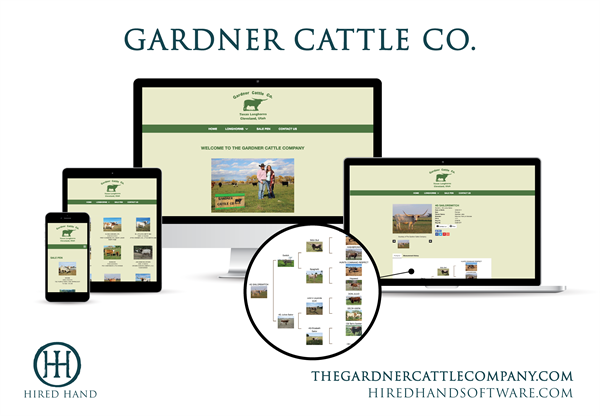 GardnerCattle_WebsiteLaunch-01 GardnerCattle_WebsiteLaunch-01