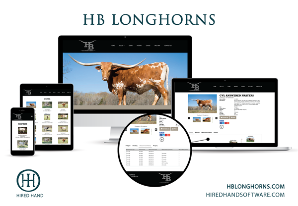 HBLonghorns-01 HBLonghorns-01