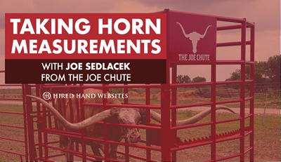 Horn Measurements with The Joe Chute