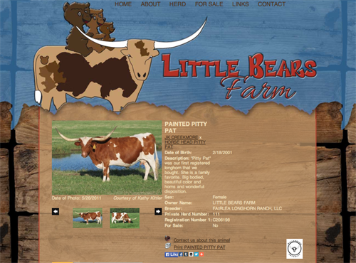 Little Bears Farm Animal