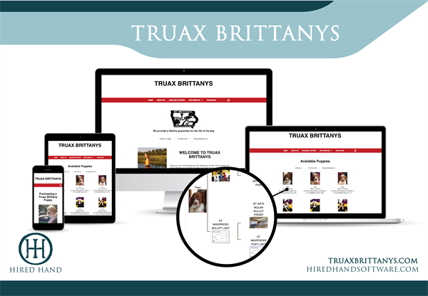 TruaxBrittanys_WebsiteLaunch-02 TruaxBrittanys_WebsiteLaunch-02