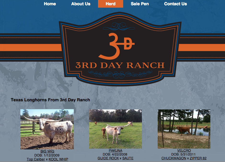 3rd DAy Ranch