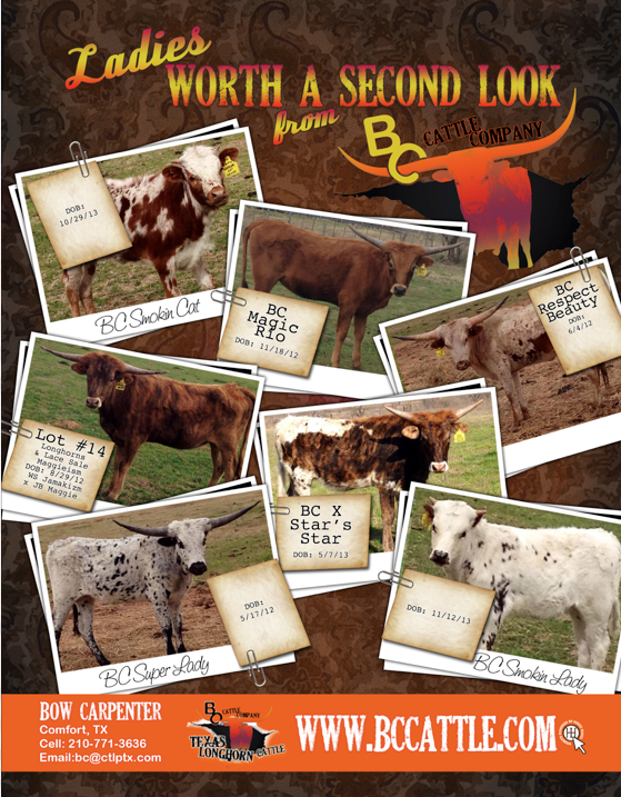 bc cattle company ad