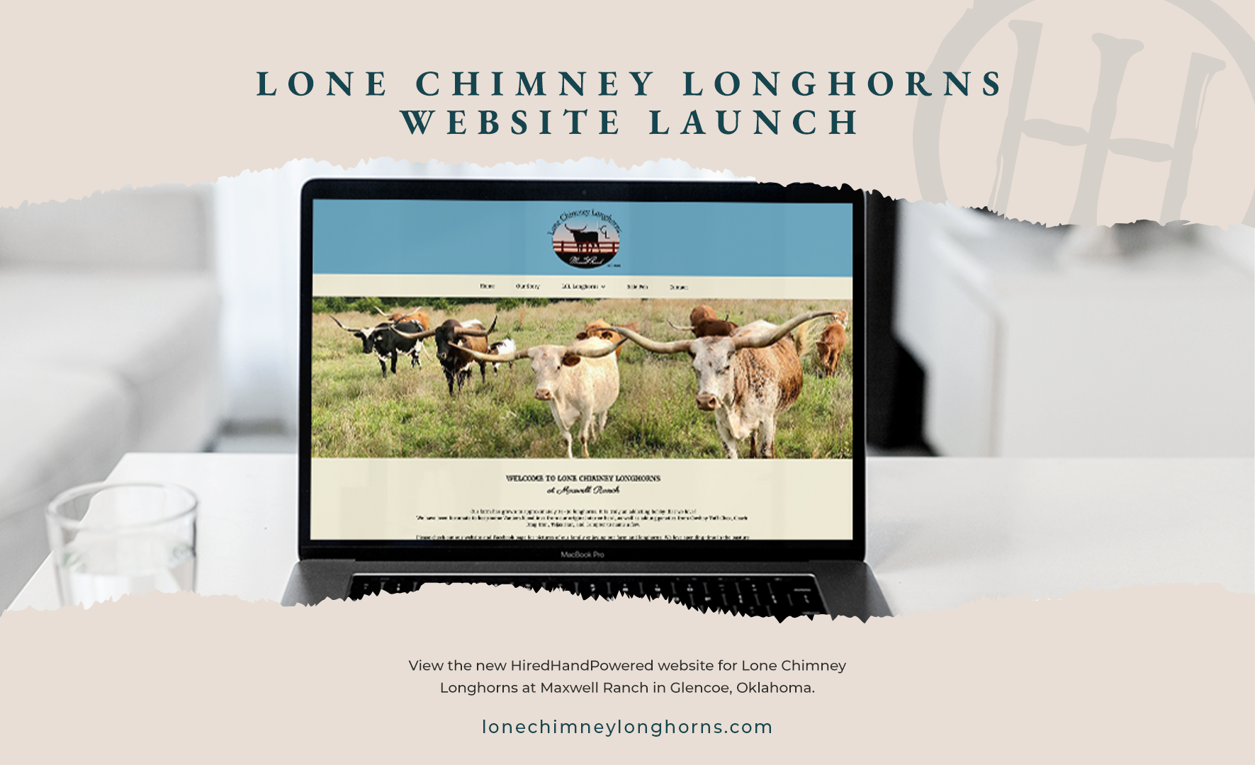 LoneChimneyLonghorns