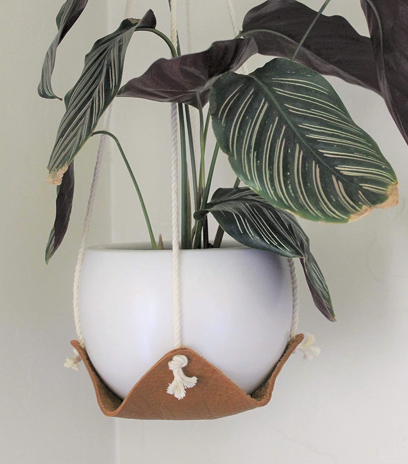 Leather Plant Hanger