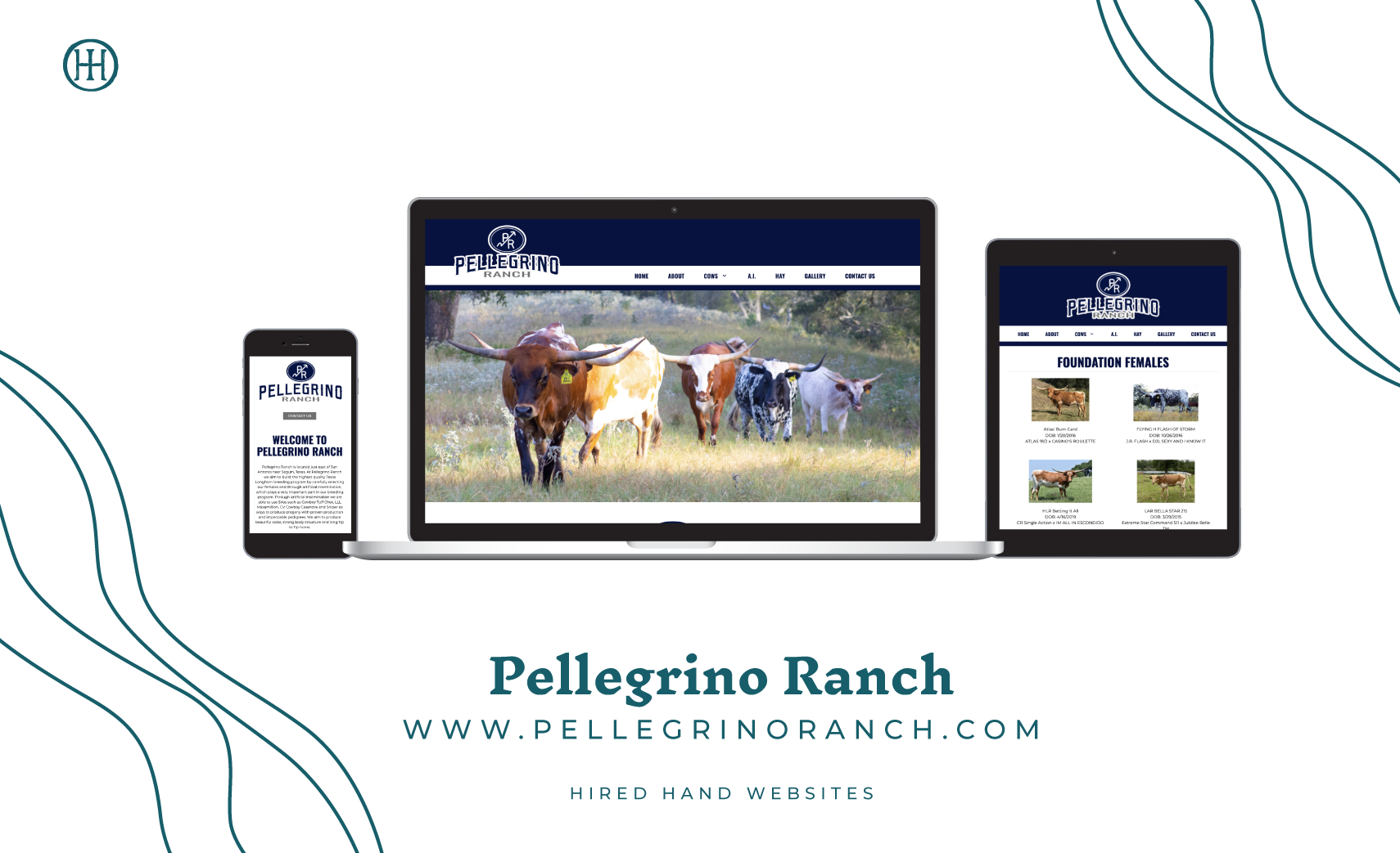 Pellegrino-NewSite