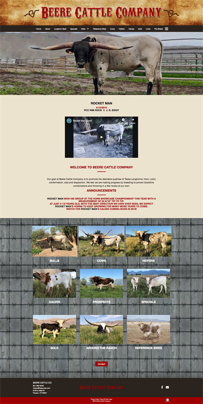 beeretexaslonghorns_homepage beeretexaslonghorns_homepage