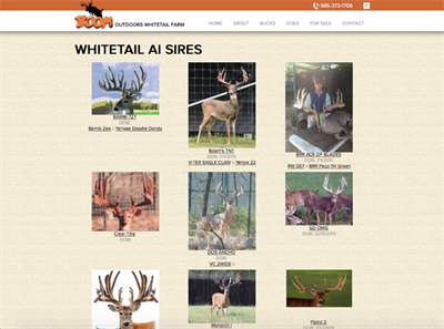Boom Outdoors Whitetail Farm Boom Outdoors Whitetail Farm