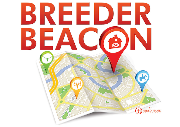 Breeder Beacon by Hired Hand