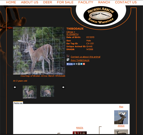 Broken Arrow Ranch Whitetails - Deer Page