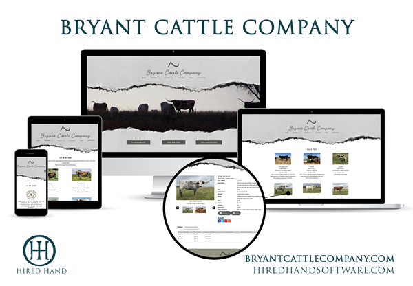 BryantCattleCo_WebsiteLaunch-01 BryantCattleCo_WebsiteLaunch-01
