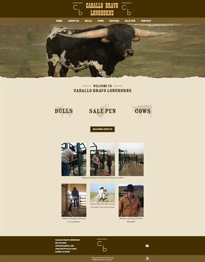 caballo-bravo-longhorns_homepage caballo-bravo-longhorns_homepage