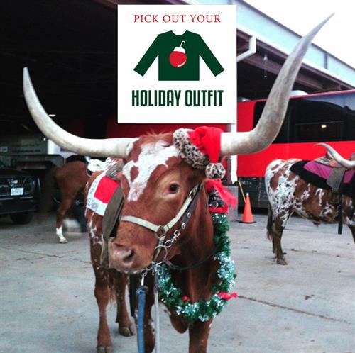Christmas Longhorn from cowgirlslonghorns Instagram