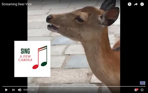 Deer screaming Deer Screaming