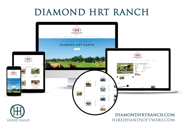 DiamondHRT_WebsiteLaunch-01
