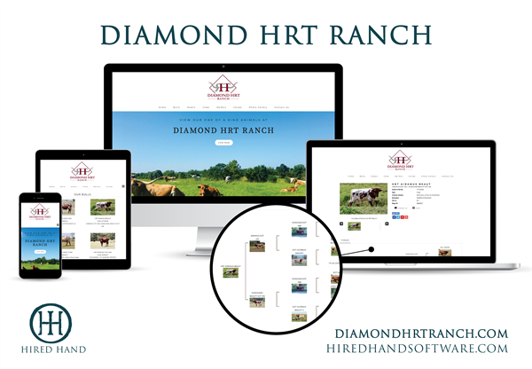 DiamondHRT_WebsiteLaunch-01 DiamondHRT_WebsiteLaunch-01