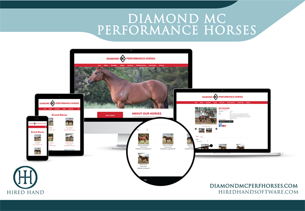 DiamondMCPerfHorses_WebsiteLaunch-02