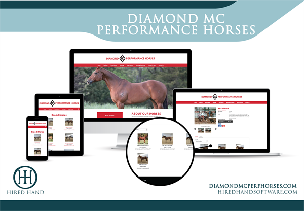 DiamondMCPerfHorses_WebsiteLaunch-02 DiamondMCPerfHorses_WebsiteLaunch-02