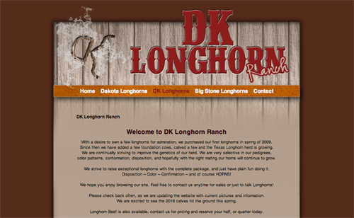 DK Longhorn Ranch Home