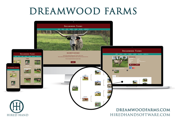 DreamwoodFarms_WebsiteLaunch-01 DreamwoodFarms_WebsiteLaunch-01