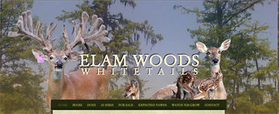 Elam Woods header