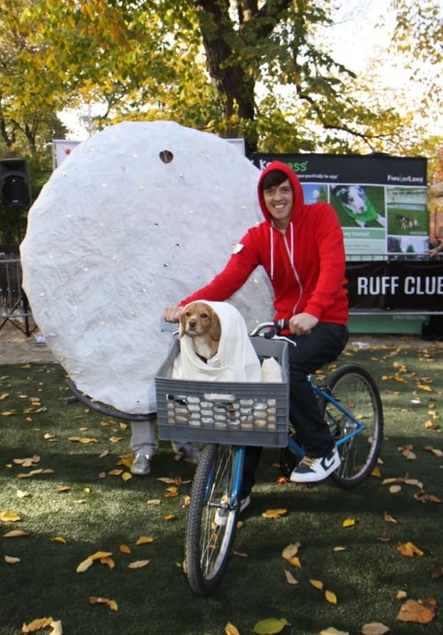 ET and Dog