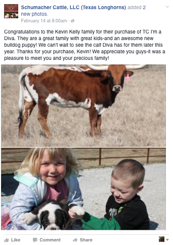 Facebook Thank You from Schumacher Cattle, LLC