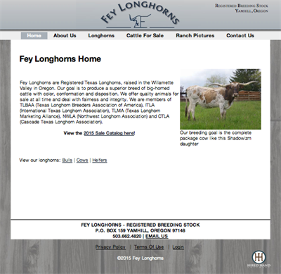 Fey Longhorns home page