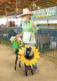 Flower Goat