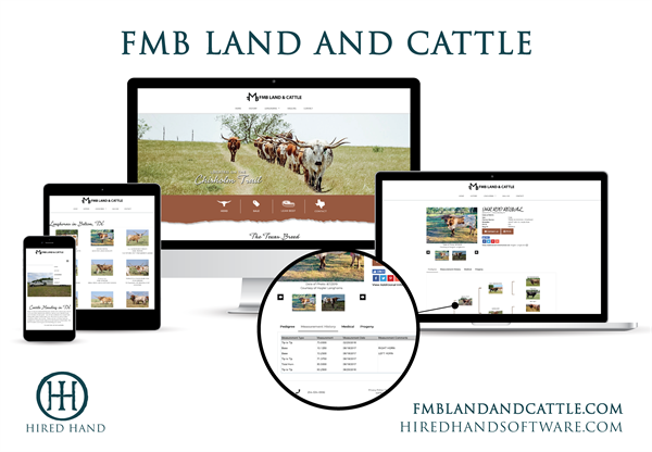 FMB_WebsiteLaunch-01 FMB_WebsiteLaunch-01