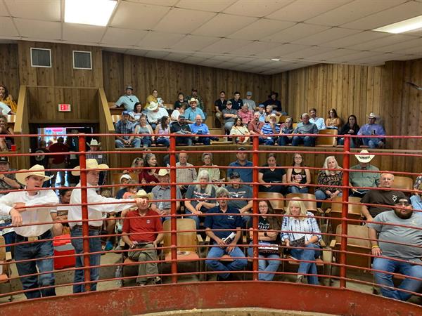 Full house at the annual Butler Breeders Invitational Sale Full house at the annual Butler Breeders Invitational Sale