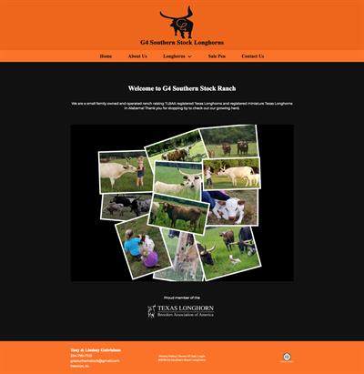 g4-southern-stock-longhorns_homepage g4-southern-stock-longhorns_homepage