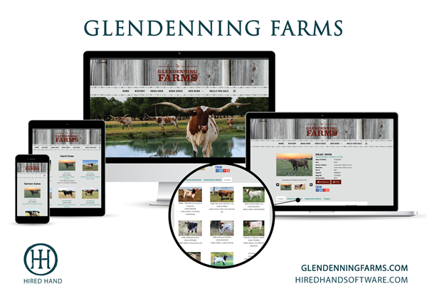 GlendenningFarms-01