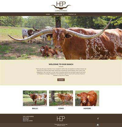 HEP-longhorns_homepage HEP-longhorns_homepage