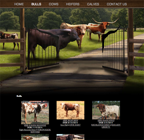 Home Branch Ranch-herd
