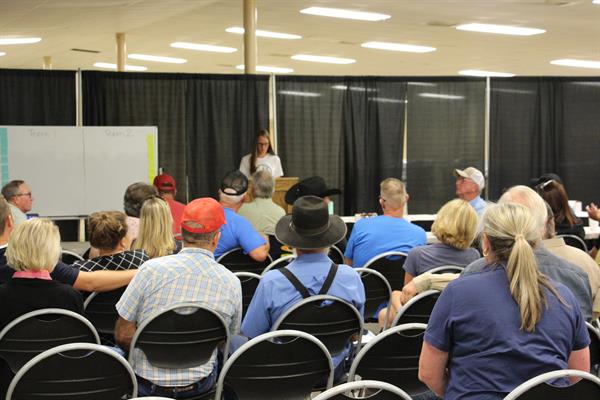 IMG_6650 IMG_6650