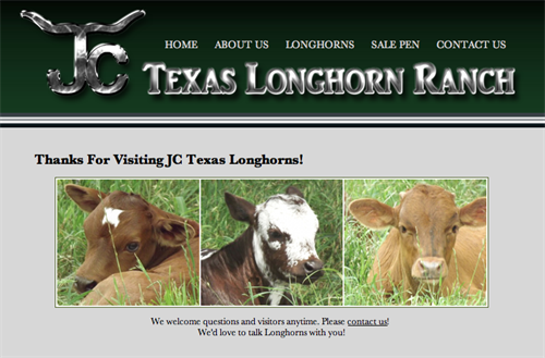 JC Texas Longhorn Ranch-home