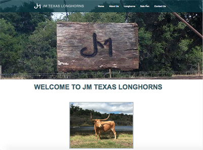 JM Texas Longhorns