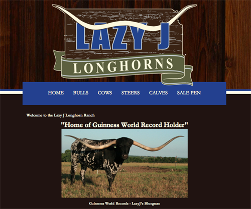 Lazy J Longhorns-home