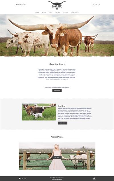 lone-oak-longhorns_homepage lone-oak-longhorns_homepage