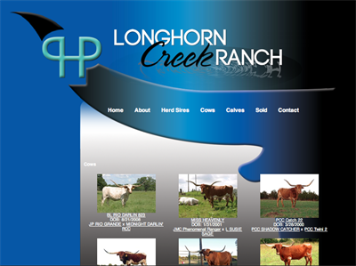 Longhorn Creek Ranch