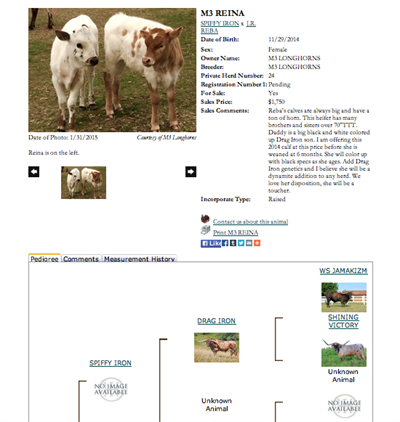 M3 Animal page M3 Animal page