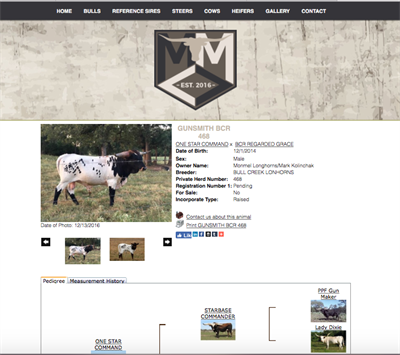MonMel Longhorns MonMel Longhorns