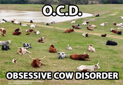 OCD-HiredHand