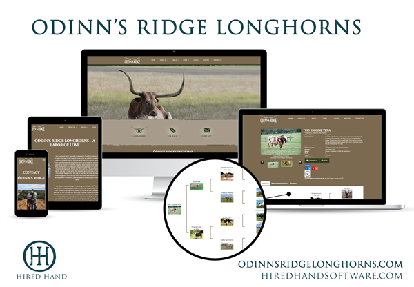 OdinnsRidge_WebsiteLaunch-01 OdinnsRidge_WebsiteLaunch-01