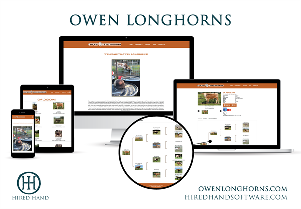 OwenLonghorns_WebsiteLaunch-01