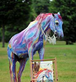 paintedhorse paintedhorse