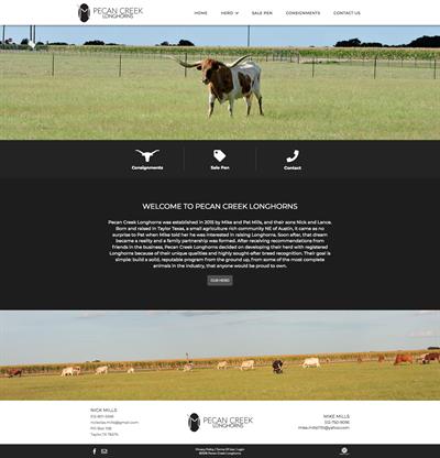 Pecan-Creek-Longhorns_homepage