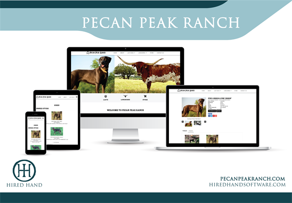 PecanPeak_WebsiteLaunch-02